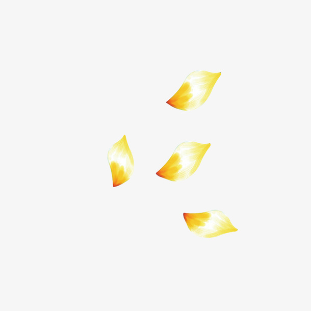 金色花瓣免抠