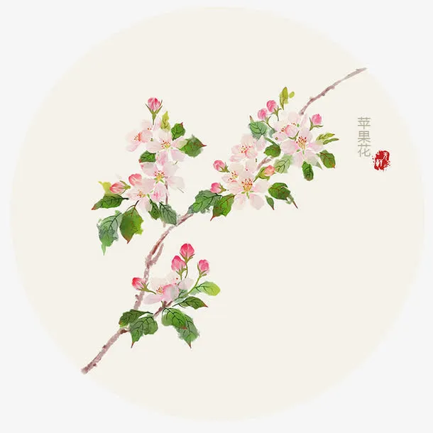苹果花朵免抠