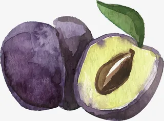 水彩 水果 水墨免抠