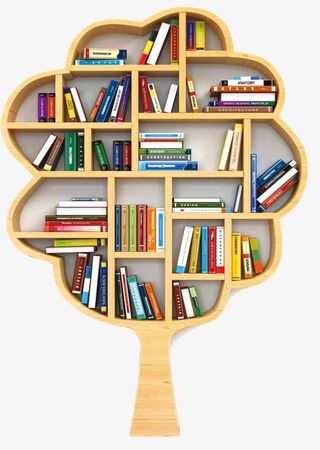 图书馆  图书 书架免抠