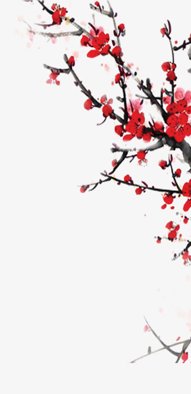 中国风腊梅免抠