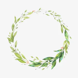 小清新植物花环13免抠