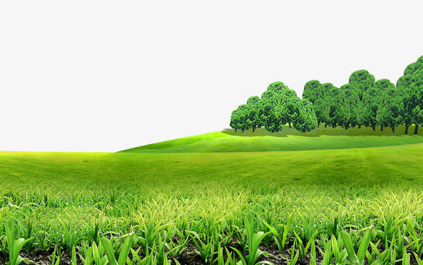 素材中国郊外草地风光免抠