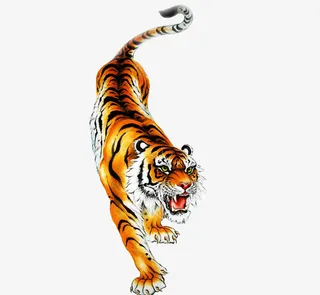 老虎猛虎素材图片免抠