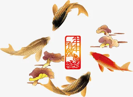 年年有余素材免抠