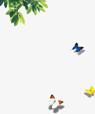 边角林荫树叶蝴蝶纷飞免抠