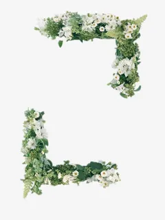 绿叶和花朵边框免抠