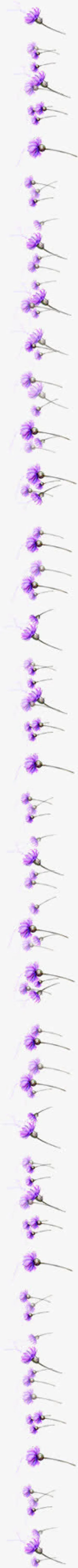 紫色田园风格花朵春天免抠