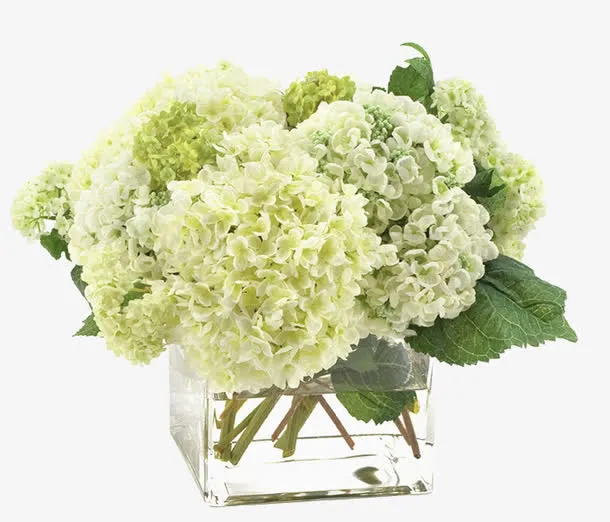 花免抠