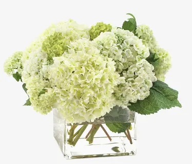 花免抠 花免抠
