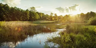 沼泽蓝天白云宽屏免抠