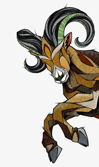 黄色块面斜线创意藏羚羊免抠