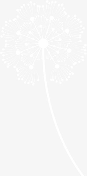 白色矢量卡通蒲公英免抠