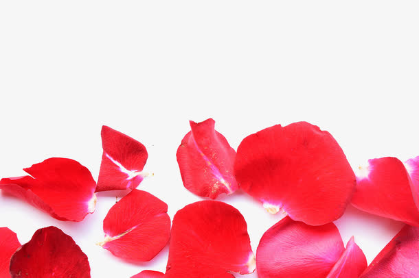 红色玫瑰花瓣免抠