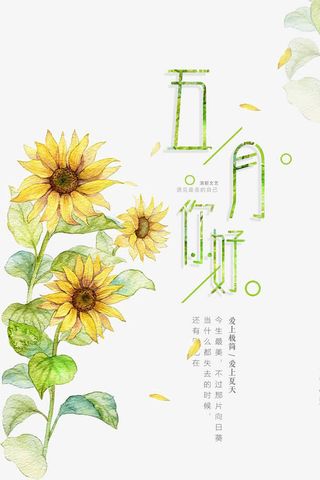 极简文艺小清新五月你好海报免抠
