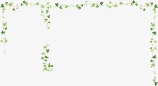 时尚花边树叶免抠