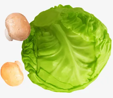 清脆包菜素材免抠