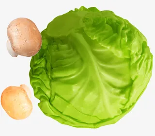 清脆包菜素材免抠