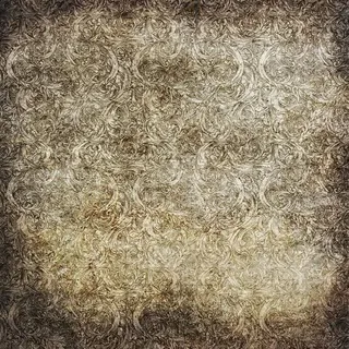 怀旧的金秋花卉背景