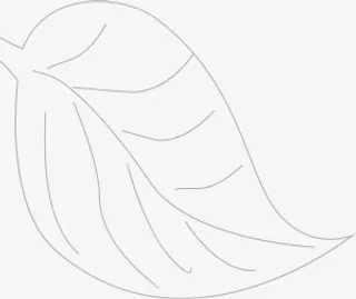 手绘树叶图片免抠