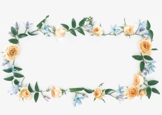 方形淡雅植物边框免抠