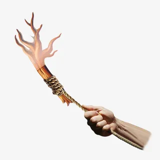 手拉麻绳拔树根免抠