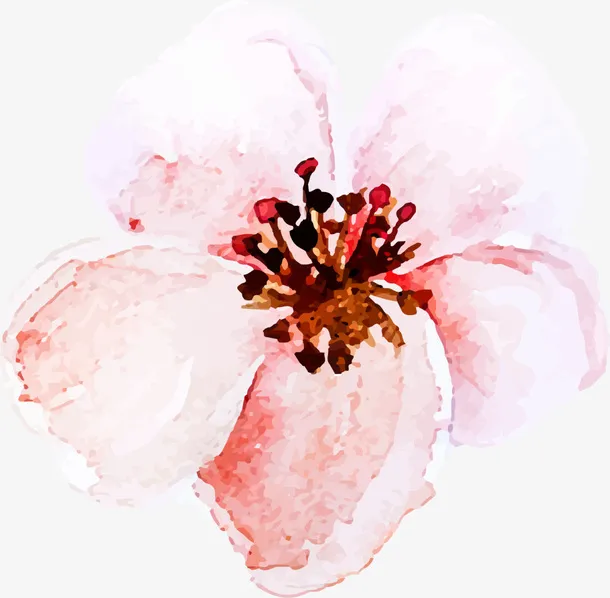 粉色水彩美丽花朵免抠