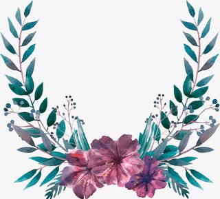 手绘水彩植物叶子边框免抠