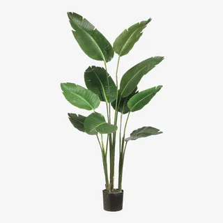 清新绿色盆栽素材免抠