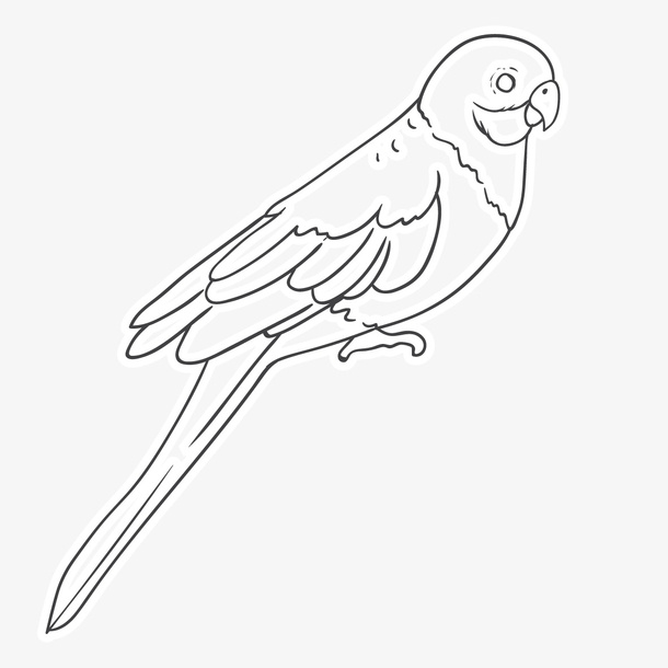 素描鹦鹉免抠