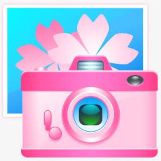 可爱日本樱花透明相机标志图标免抠