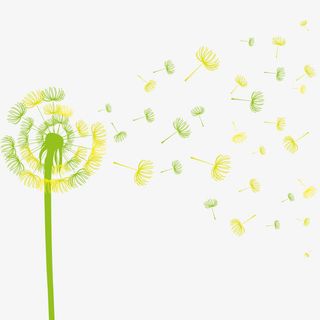 创意合成手绘蒲公英效果花朵免抠