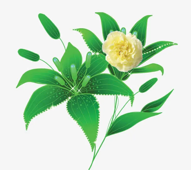春天绿色清新百合花免抠