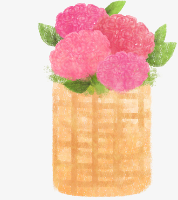 康乃馨水彩画1免抠