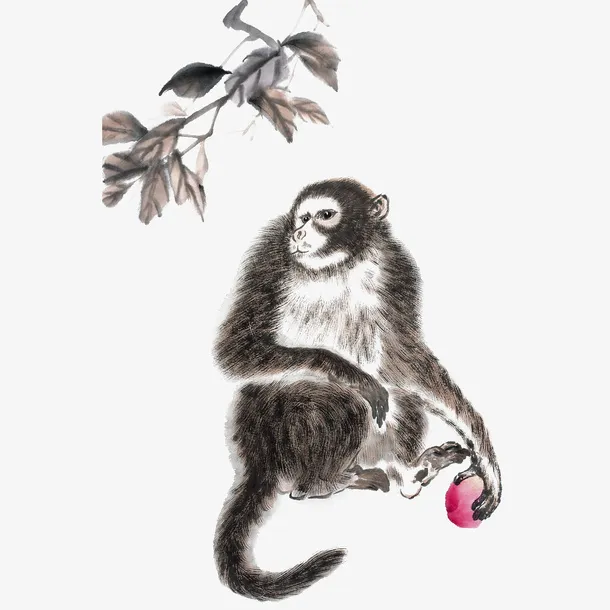 传统中国风水墨猴子拿水果免抠免抠