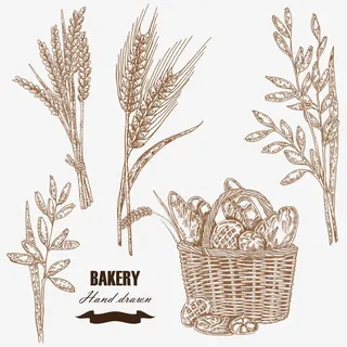 小麦与面包素描免抠