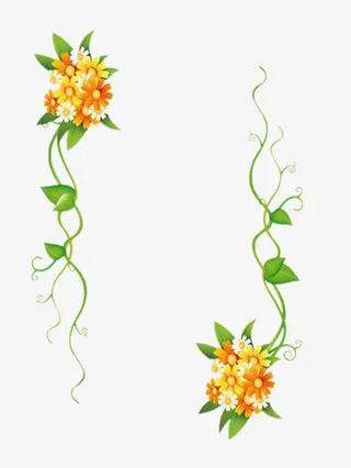 鲜花边框免抠