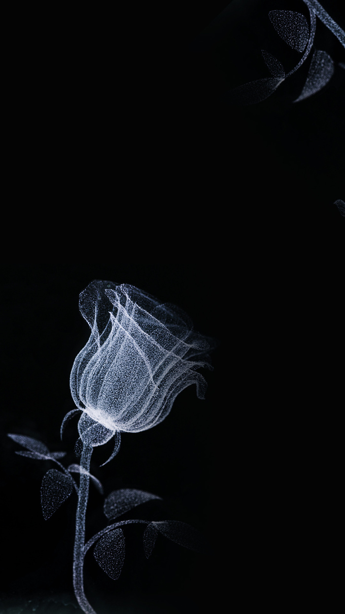 光影花卉H5背景高清