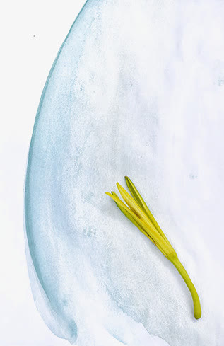 蔬菜免抠