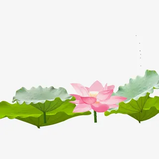 花卉素材 荷花免抠