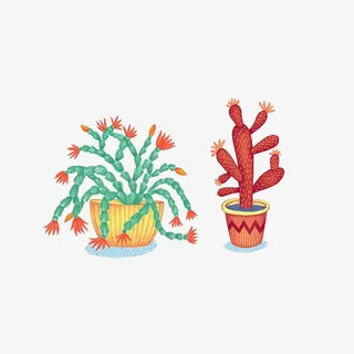 开着花的仙人掌蟹爪兰免抠