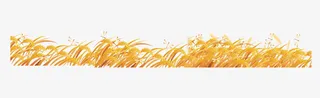 麦穗免抠