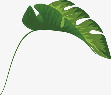 绿色叶子PNG下载免抠