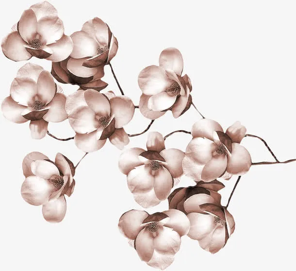 布艺插花梅花素材免抠