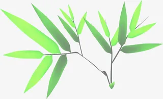 端午节竹叶绿叶装饰图片免抠