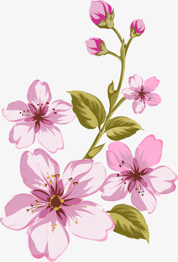 春暖花开粉色花朵免抠