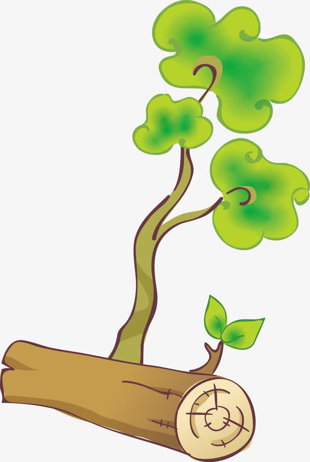 树干树枝免抠