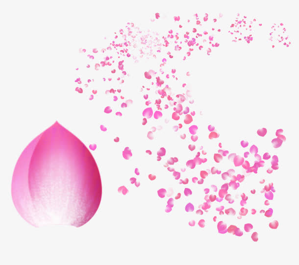 粉红花瓣免抠