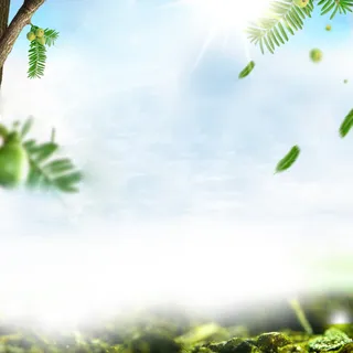 绿色落叶简约大自然护肤品主图背景高清