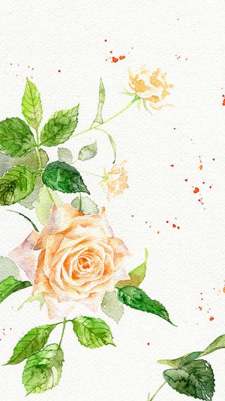 小清新手绘玫瑰H5背景素材高清